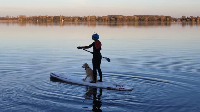 IMG-20221113-WA0003