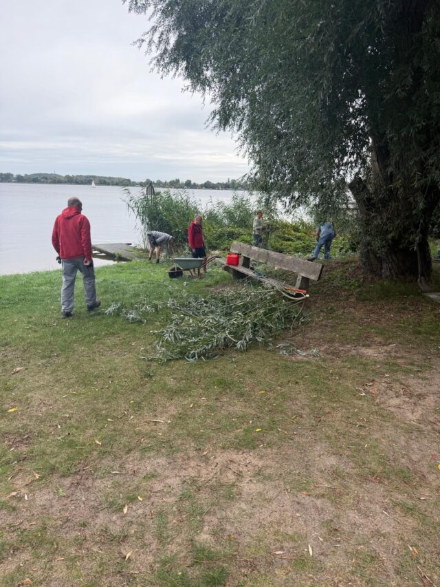 IMG-20260919-WA0005