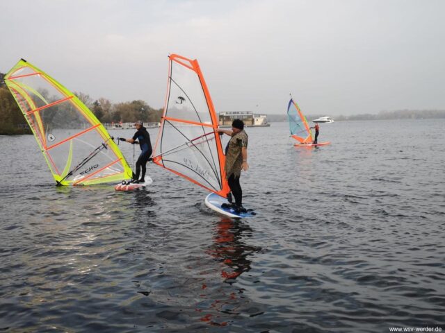 IMG_20241115_WA0005